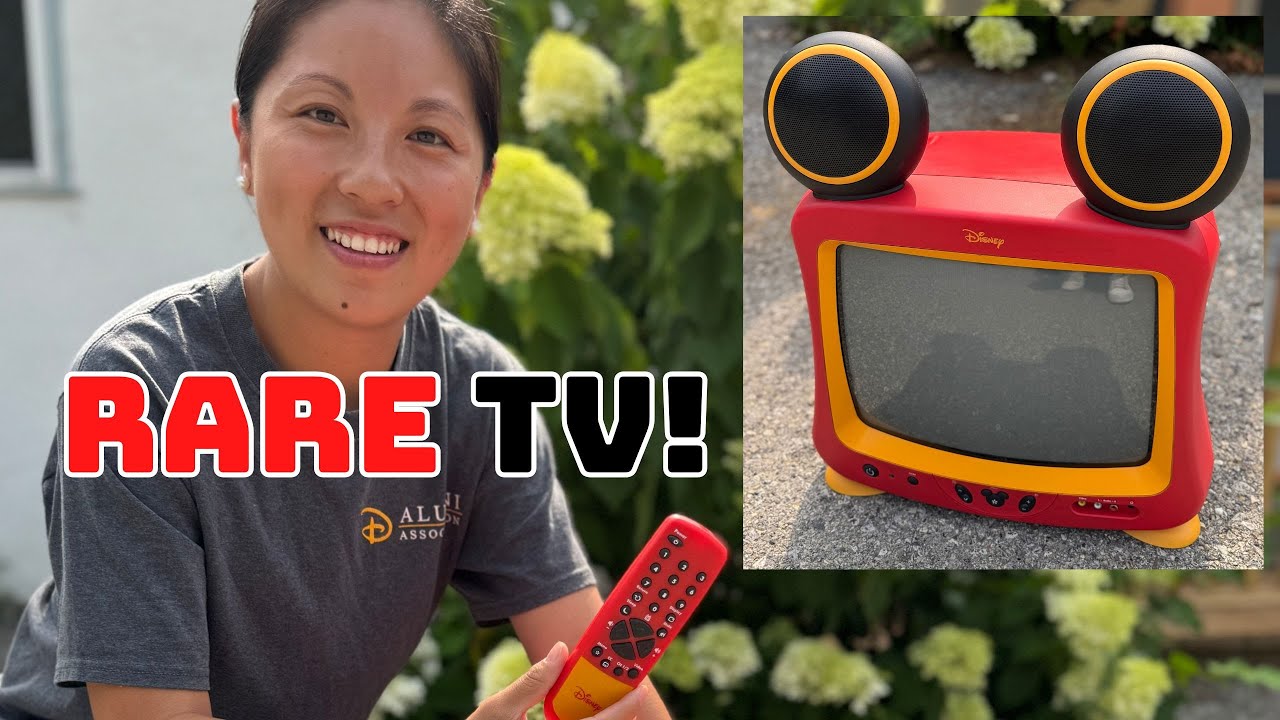 ミッキー、ミニーの液晶テレビ 16インチ レア 【公式通販】