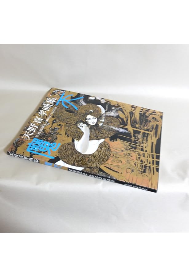 Amazon.co.jp: 天野喜孝全版画集 : 天野 喜孝: Japanese Books