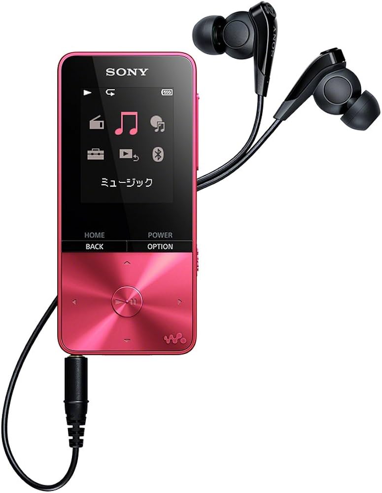 Amazon.co.jp: ソニー ウォークマン Sシリーズ 16GB NW-S315 : MP3