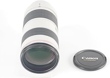 Amazon.co.jp: Canon 望遠ズームレンズ EF70-200mm F2.8L USM フル