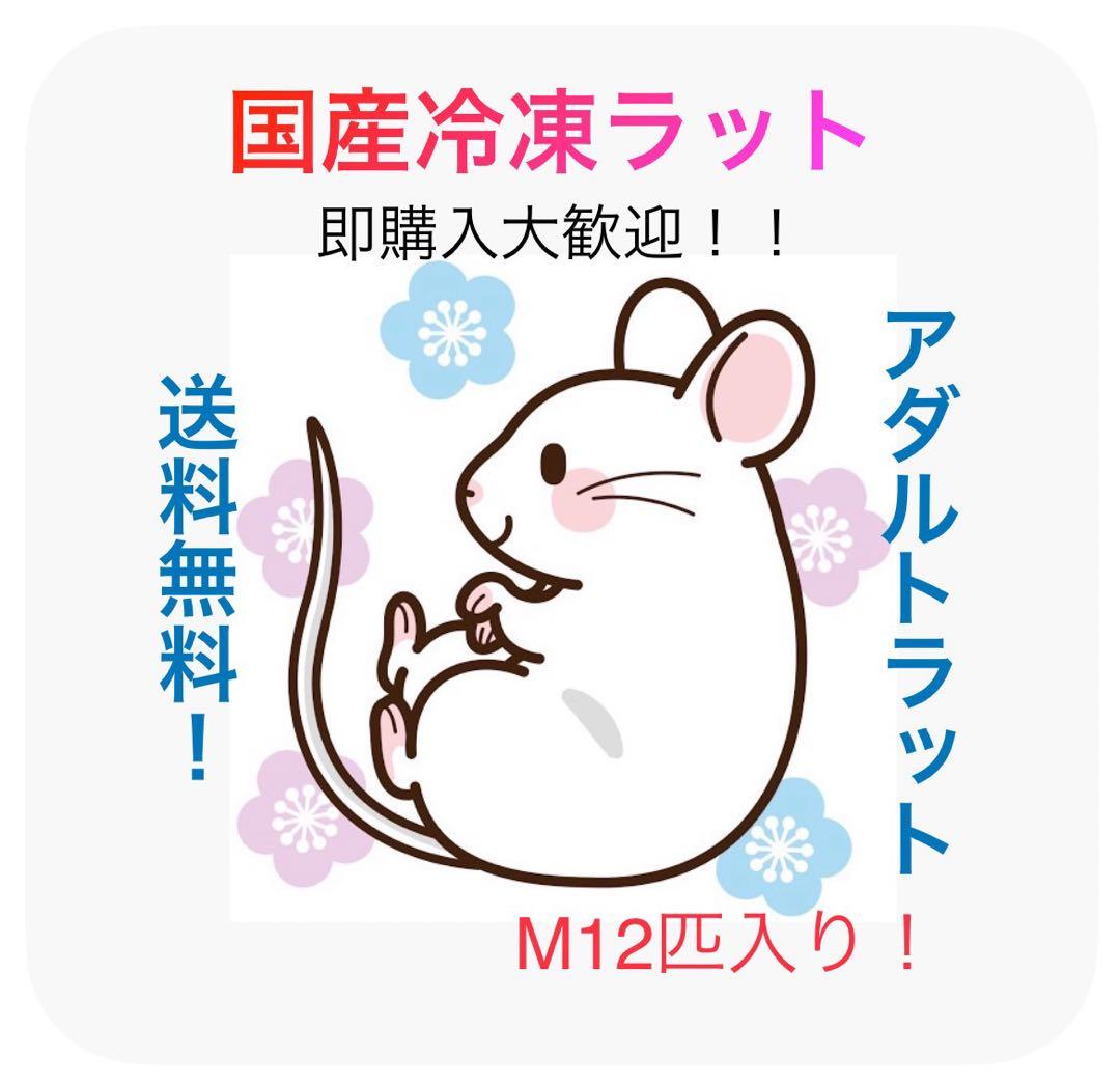 【即購入OK！】国産冷凍ラットホッパーL30匹入 冷凍ラット ホッパーS 10匹 RHS 国産 SAafrm | 冷凍ラット,ホッパー