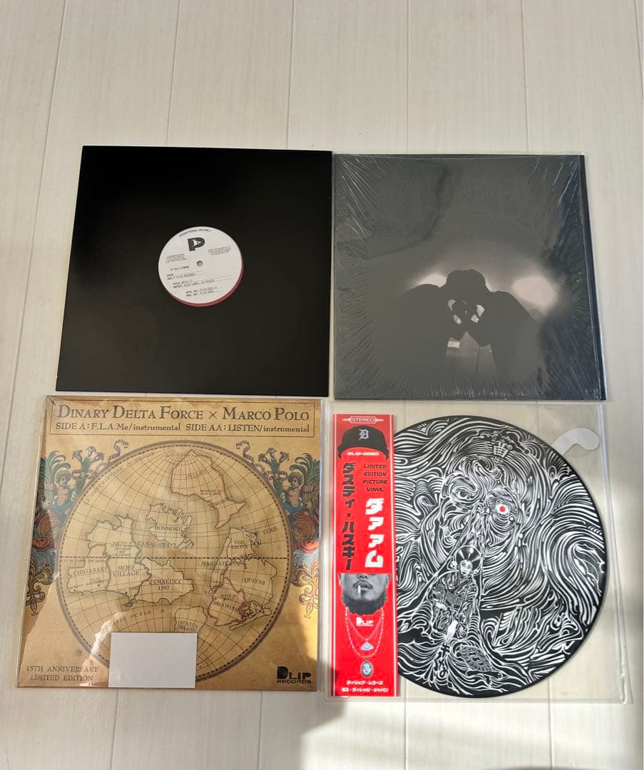 DLIP records レコードセット